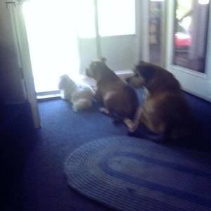 Meet your Posher, Carolyn